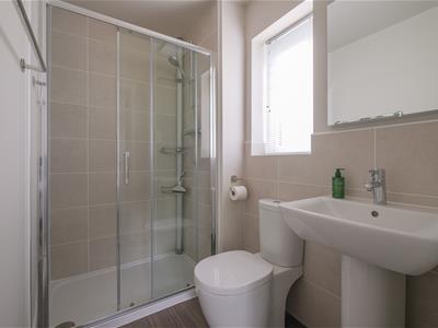 Picture 25